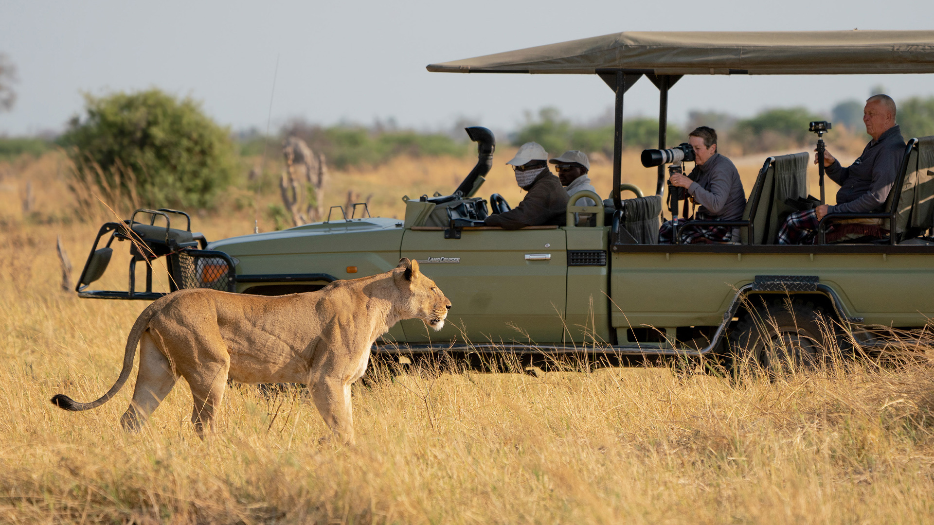 Kwando safaris Botswana