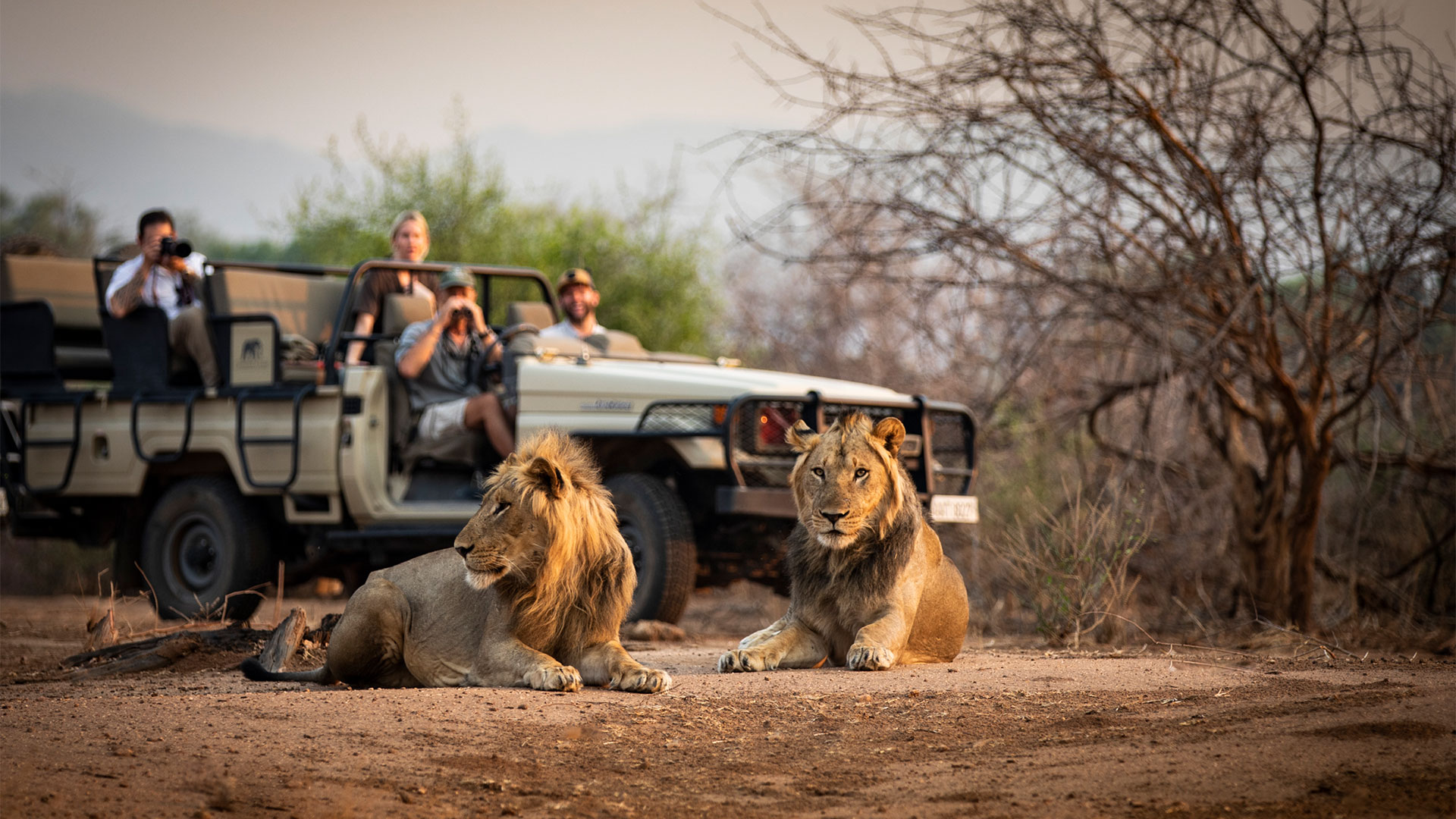 Luxury Zambia safari