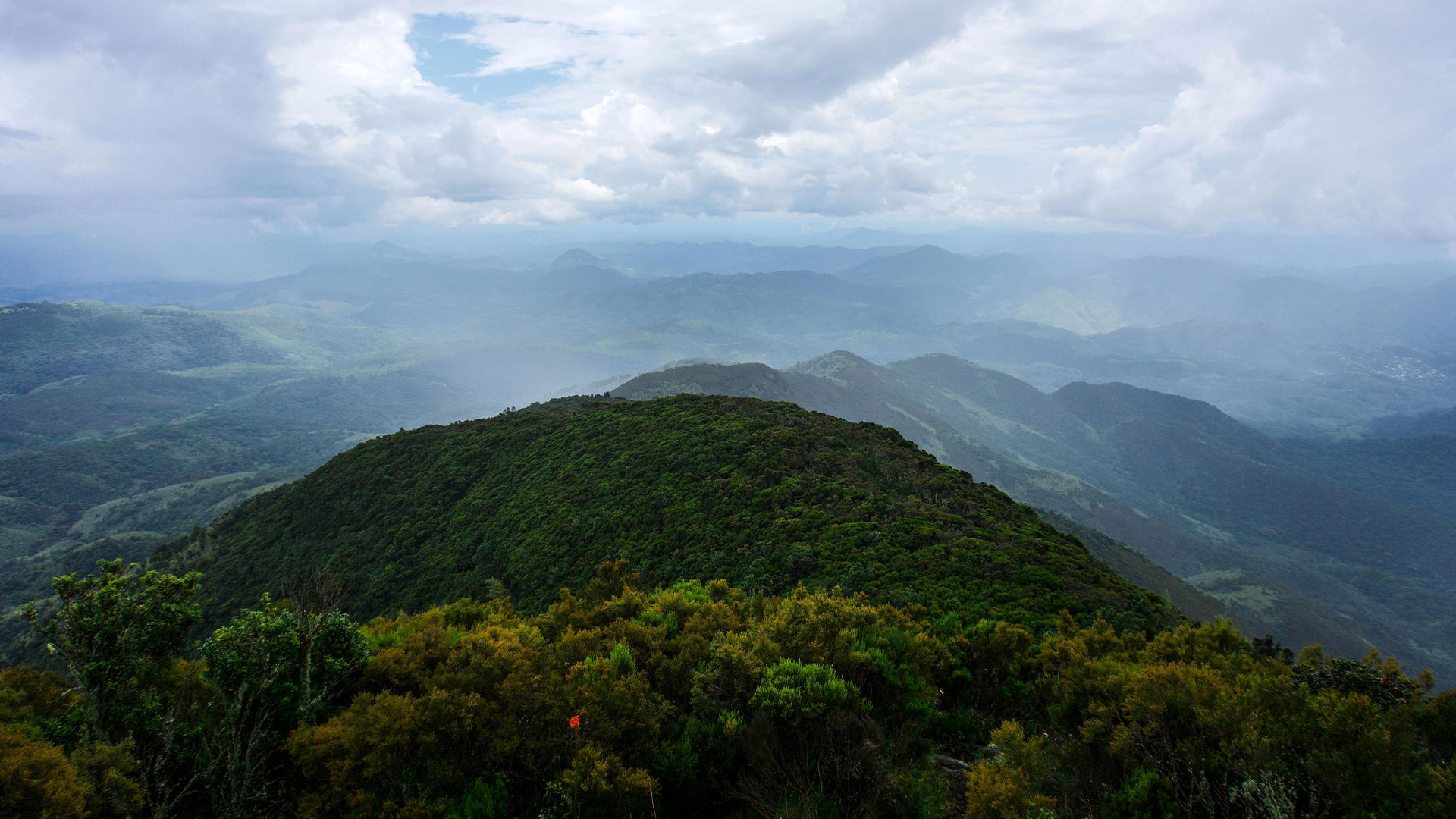Kahuzi Biega National Park