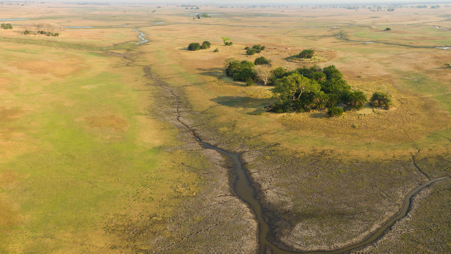 Busanga Plains