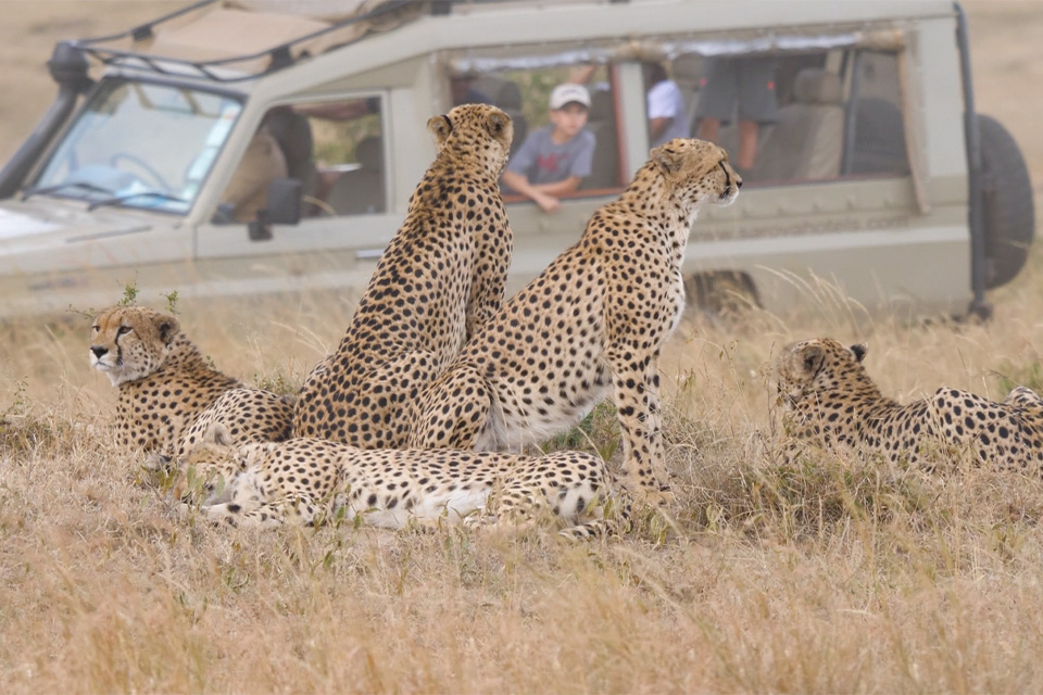 Luxury multi-generation safaris