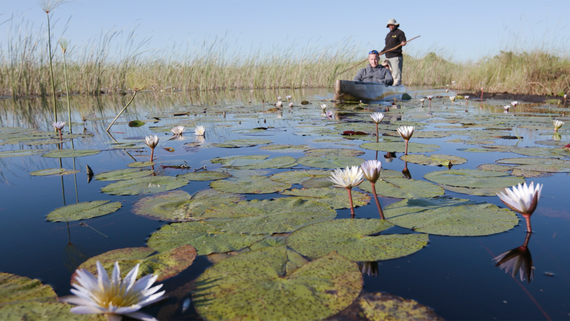 Okavango Delta luxury safari