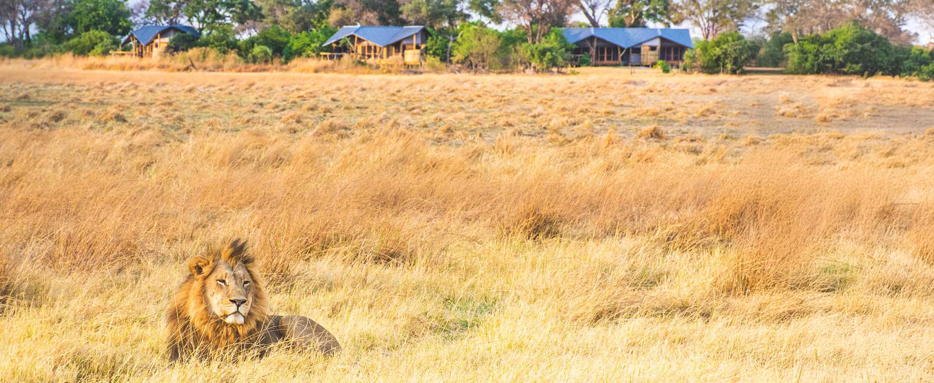 Luxury Botswana safari package